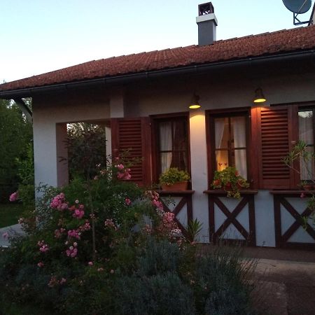 Nikolija 1 Apartman Bajina Basta Kültér fotó
