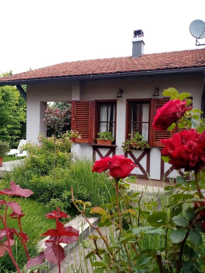 Nikolija 1 Apartman Bajina Basta Kültér fotó
