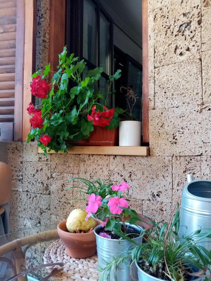 Nikolija 1 Apartman Bajina Basta Kültér fotó